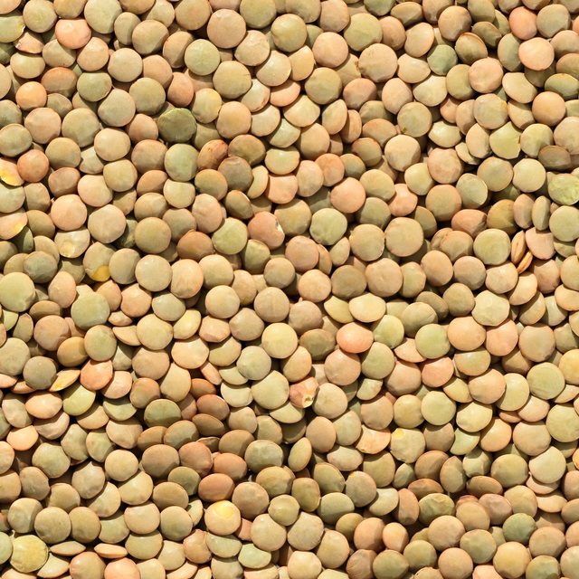Green lentils