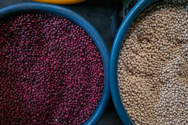 Other Canadian field crops